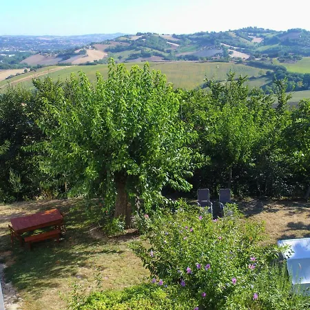 Quaint Farmhouse In Barchi With Garden, Bbq, Fireplace